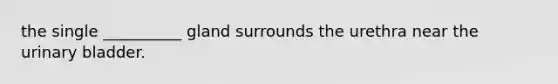 the single __________ gland surrounds the urethra near the <a href='https://www.questionai.com/knowledge/kb9SdfFdD9-urinary-bladder' class='anchor-knowledge'>urinary bladder</a>.
