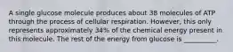 A single glucose molecule produces about 38 molecules of ATP through the process of cellular respiration. However, this only represents approximately 34% of the chemical energy present in this molecule. The rest of the energy from glucose is __________.