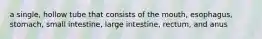 a single, hollow tube that consists of the mouth, esophagus, stomach, small intestine, large intestine, rectum, and anus