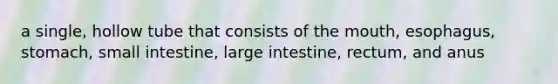 a single, hollow tube that consists of the mouth, esophagus, stomach, small intestine, large intestine, rectum, and anus