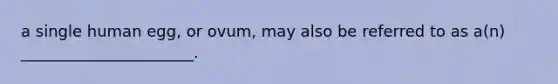 a single human egg, or ovum, may also be referred to as a(n) ______________________.