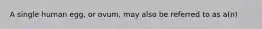A single human egg, or ovum, may also be referred to as a(n)