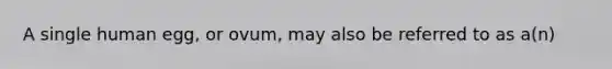 A single human egg, or ovum, may also be referred to as a(n)