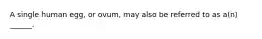 A single human egg, or ovum, may also be referred to as a(n) ______.
