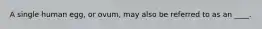 A single human egg, or ovum, may also be referred to as an ____.