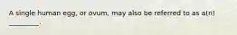 A single human egg, or ovum, may also be referred to as a(n) _________.