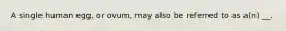 A single human egg, or ovum, may also be referred to as a(n) __.