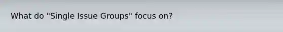 What do "Single Issue Groups" focus on?