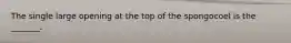 The single large opening at the top of the spongocoel is the _______.