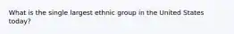 What is the single largest ethnic group in the United States today?