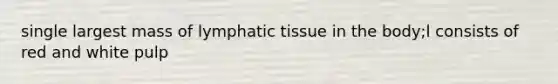 single largest mass of lymphatic tissue in the body;l consists of red and white pulp