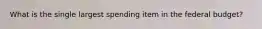 What is the single largest spending item in the federal budget?