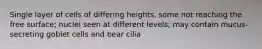 Single layer of cells of differing heights, some not reaching the free surface; nuclei seen at different levels; may contain mucus-secreting goblet cells and bear cilia