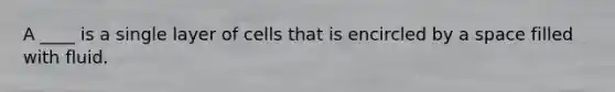 A ____ is a single layer of cells that is encircled by a space filled with fluid.