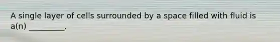 A single layer of cells surrounded by a space filled with fluid is a(n) _________.