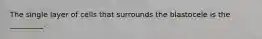 The single layer of cells that surrounds the blastocele is the _________.