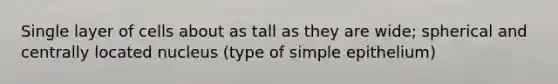 Single layer of cells about as tall as they are wide; spherical and centrally located nucleus (type of simple epithelium)