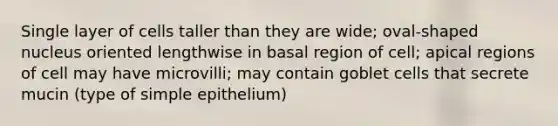 Single layer of cells taller than they are wide; oval-shaped nucleus oriented lengthwise in basal region of cell; apical regions of cell may have microvilli; may contain goblet cells that secrete mucin (type of simple epithelium)