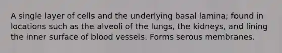 A single layer of cells and the underlying basal lamina; found in locations such as the alveoli of the lungs, the kidneys, and lining the inner surface of blood vessels. Forms serous membranes.