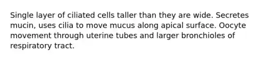 Single layer of ciliated cells taller than they are wide. Secretes mucin, uses cilia to move mucus along apical surface. Oocyte movement through uterine tubes and larger bronchioles of respiratory tract.