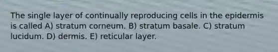 The single layer of continually reproducing cells in <a href='https://www.questionai.com/knowledge/kBFgQMpq6s-the-epidermis' class='anchor-knowledge'>the epidermis</a> is called A) stratum corneum. B) stratum basale. C) stratum lucidum. D) dermis. E) reticular layer.