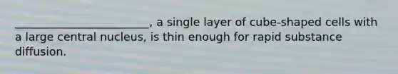 ________________________, a single layer of cube-shaped cells with a large central nucleus, is thin enough for rapid substance diffusion.