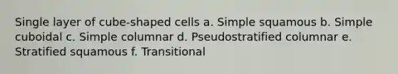 Single layer of cube-shaped cells a. Simple squamous b. Simple cuboidal c. Simple columnar d. Pseudostratified columnar e. Stratified squamous f. Transitional