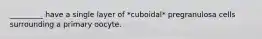 _________ have a single layer of *cuboidal* pregranulosa cells surrounding a primary oocyte.