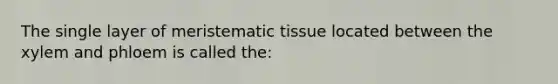 The single layer of meristematic tissue located between the xylem and phloem is called the: