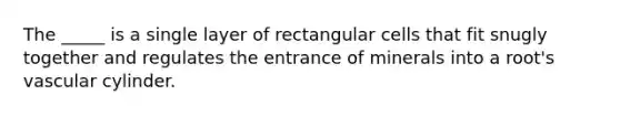 The _____ is a single layer of rectangular cells that fit snugly together and regulates the entrance of minerals into a root's vascular cylinder.