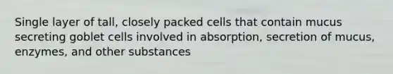 Single layer of tall, closely packed cells that contain mucus secreting goblet cells involved in absorption, secretion of mucus, enzymes, and other substances