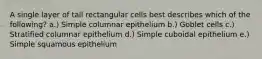 A single layer of tall rectangular cells best describes which of the following? a.) Simple columnar epithelium b.) Goblet cells c.) Stratified columnar epithelium d.) Simple cuboidal epithelium e.) Simple squamous epithelium