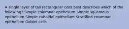 A single layer of tall rectangular cells best describes which of the following? Simple columnar epithelium Simple squamous epithelium Simple cuboidal epithelium Stratified columnar epithelium Goblet cells