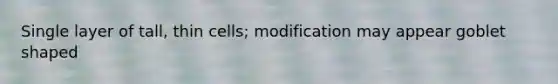 Single layer of tall, thin cells; modification may appear goblet shaped