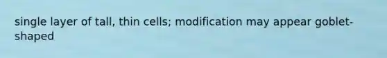 single layer of tall, thin cells; modification may appear goblet-shaped