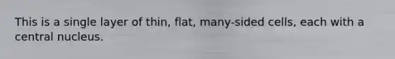 This is a single layer of thin, flat, many-sided cells, each with a central nucleus.
