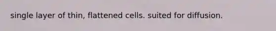 single layer of thin, flattened cells. suited for diffusion.