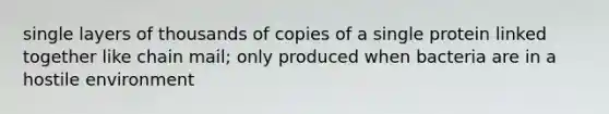 single layers of thousands of copies of a single protein linked together like chain mail; only produced when bacteria are in a hostile environment