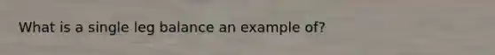 What is a single leg balance an example of?