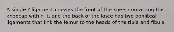 A single ? ligament crosses the front of the knee, containing the kneecap within it, and the back of the knee has two popliteal ligaments that link the femur to the heads of the tibia and fibula