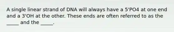 A single linear strand of DNA will always have a 5'PO4 at one end and a 3'OH at the other. These ends are often referred to as the _____ and the _____.