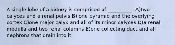 A single lobe of a kidney is comprised of __________. A)two calyces and a renal pelvis B) one pyramid and the overlying cortex C)one major calyx and all of its minor calyces D)a renal medulla and two renal columns E)one collecting duct and all nephrons that drain into it