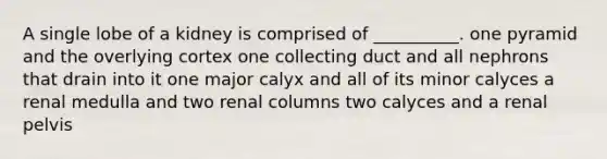 A single lobe of a kidney is comprised of __________. one pyramid and the overlying cortex one collecting duct and all nephrons that drain into it one major calyx and all of its minor calyces a renal medulla and two renal columns two calyces and a renal pelvis