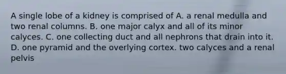 A single lobe of a kidney is comprised of A. a renal medulla and two renal columns. B. one major calyx and all of its minor calyces. C. one collecting duct and all nephrons that drain into it. D. one pyramid and the overlying cortex. two calyces and a renal pelvis