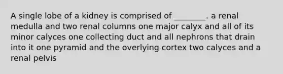 A single lobe of a kidney is comprised of ________. a renal medulla and two renal columns one major calyx and all of its minor calyces one collecting duct and all nephrons that drain into it one pyramid and the overlying cortex two calyces and a renal pelvis