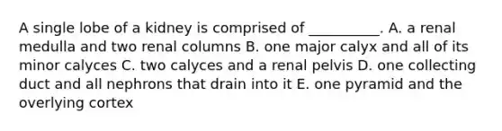 A single lobe of a kidney is comprised of __________. A. a renal medulla and two renal columns B. one major calyx and all of its minor calyces C. two calyces and a renal pelvis D. one collecting duct and all nephrons that drain into it E. one pyramid and the overlying cortex