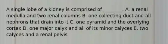 A single lobe of a kidney is comprised of ________. A. a renal medulla and two renal columns B. one collecting duct and all nephrons that drain into it C. one pyramid and the overlying cortex D. one major calyx and all of its minor calyces E. two calyces and a renal pelvis