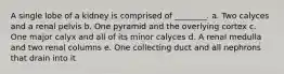 A single lobe of a kidney is comprised of ________. a. Two calyces and a renal pelvis b. One pyramid and the overlying cortex c. One major calyx and all of its minor calyces d. A renal medulla and two renal columns e. One collecting duct and all nephrons that drain into it