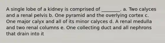 A single lobe of a kidney is comprised of ________. a. Two calyces and a renal pelvis b. One pyramid and the overlying cortex c. One major calyx and all of its minor calyces d. A renal medulla and two renal columns e. One collecting duct and all nephrons that drain into it