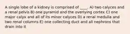 A single lobe of a kidney is comprised of ____. A) two calyces and a renal pelvis B) one pyramid and the overlying cortex C) one major calyx and all of its minor calyces D) a renal medulla and two renal columns E) one collecting duct and all nephrons that drain into it